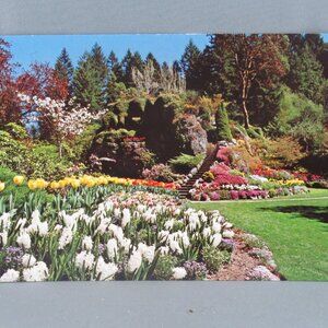 Vintage Postcard - Butchart Gardens the Sunken Garden - Traveltime